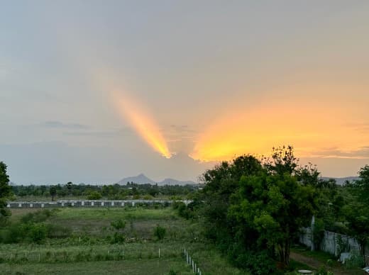 The Beginnings of the Haritachala Bakery
