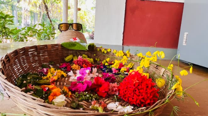 How Sustainable Cooking is Practiced at Haritachala